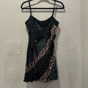 Nasty Gal
Sequin tassel beaded mini dress
Size 6
Original price $95.48